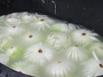 Cut onions floating in water