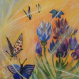 Butterflies and Lupines